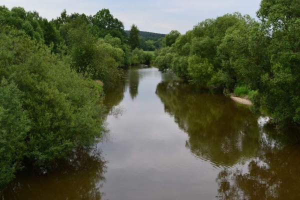 waldnaab-317097F8E-78C7-C82E-DFDB-5385C51AFFAC.jpg