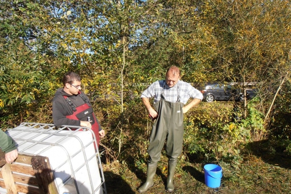 arbeitseinsatz-20131019-14227630165D000BF8-61E0-F22F-06A5-6910C72E76C6.jpg