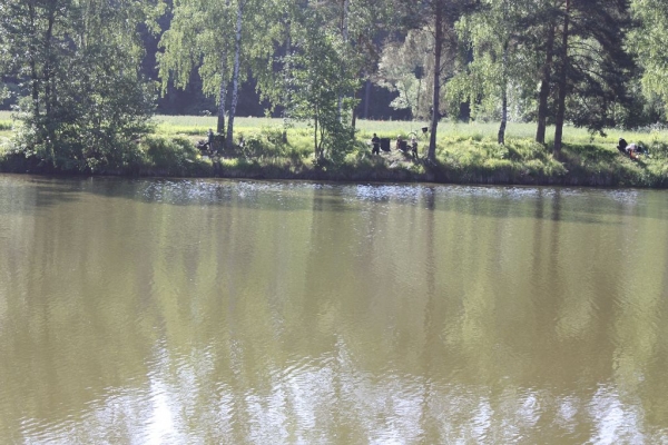 jugendzeltlager-20150607-1001222198FA2F4F65-DE18-7D2B-F261-03C902EE28DA.jpg