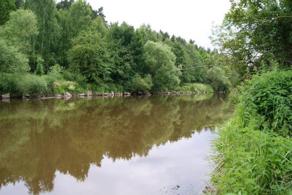 pschierer-naabC34EF4AD-D26E-EA60-DFFC-D969A00C0DCA.jpg