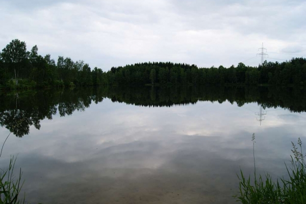 foereth-1CEDF8A5C-3CEC-0E9C-E5D1-B8012F96BCF7.jpg