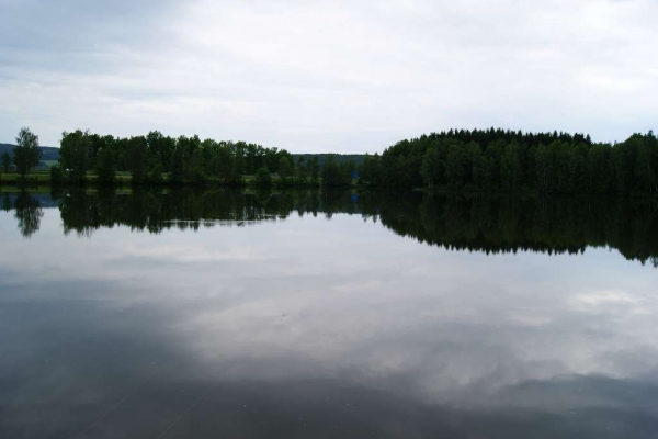 foereth-4332A3D34-126D-AF03-3977-8CEA2549E1F6.jpg