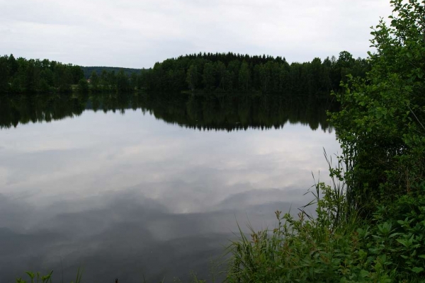 foereth-646F8F6F2-6C2E-A4DE-C10B-983646C61135.jpg